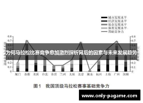 为何马拉松比赛竞争愈加激烈探析背后的因素与未来发展趋势