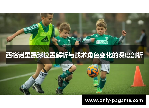 西格诺里踢球位置解析与战术角色变化的深度剖析