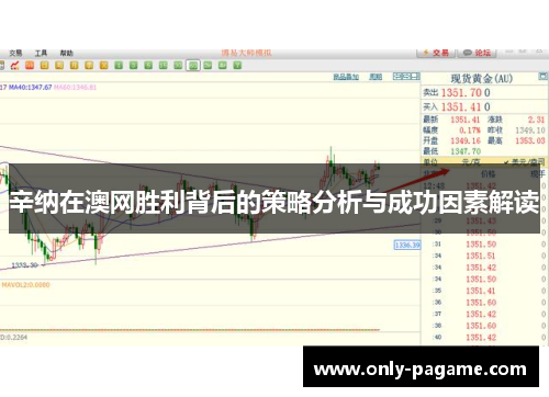 辛纳在澳网胜利背后的策略分析与成功因素解读