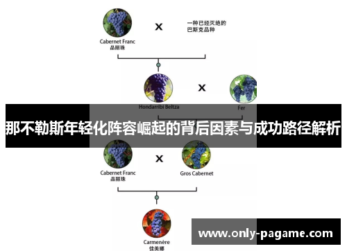 那不勒斯年轻化阵容崛起的背后因素与成功路径解析