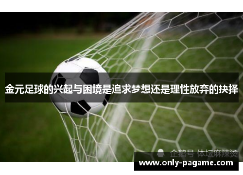 金元足球的兴起与困境是追求梦想还是理性放弃的抉择