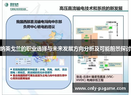 纳英戈兰的职业选择与未来发展方向分析及可能前景探讨